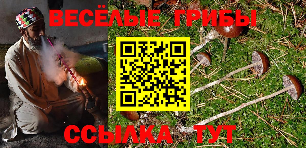 Сосновоборск  Псилоцибиновые грибы Psilocybe  Вход с VPN  Псилоцибиновые грибы Magic Shrooms 